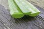 Aloe vera, planta panaceu. 5 beneficii ale plantei aloe vera pentru par