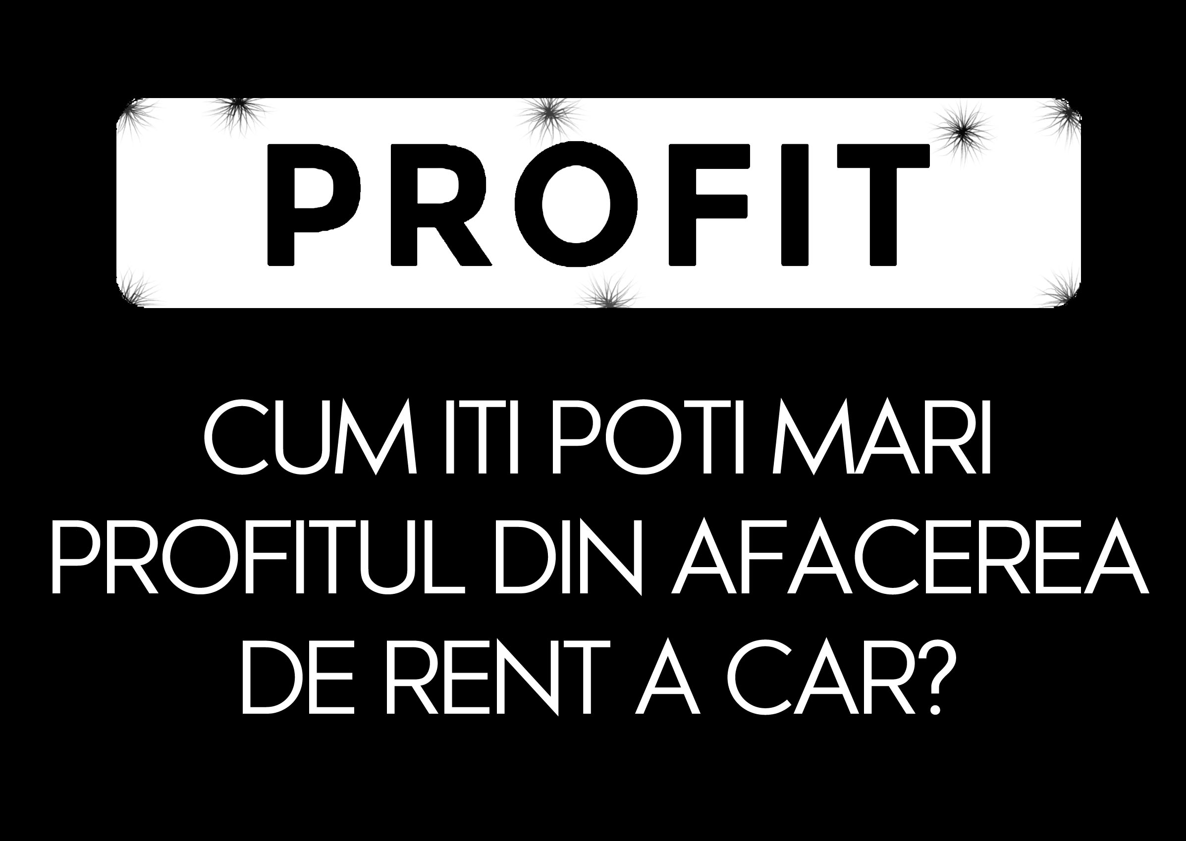 Cum iti poti mari profitul din afacerea de rent a car?